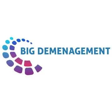 Logo de Big Déménagement