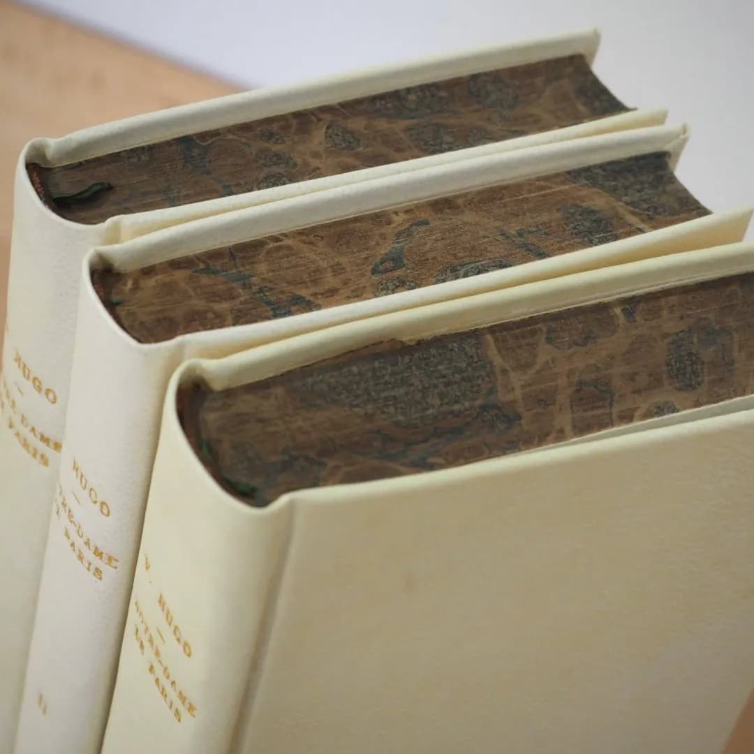 Photo de couverture de Les Liens de la Mémoire