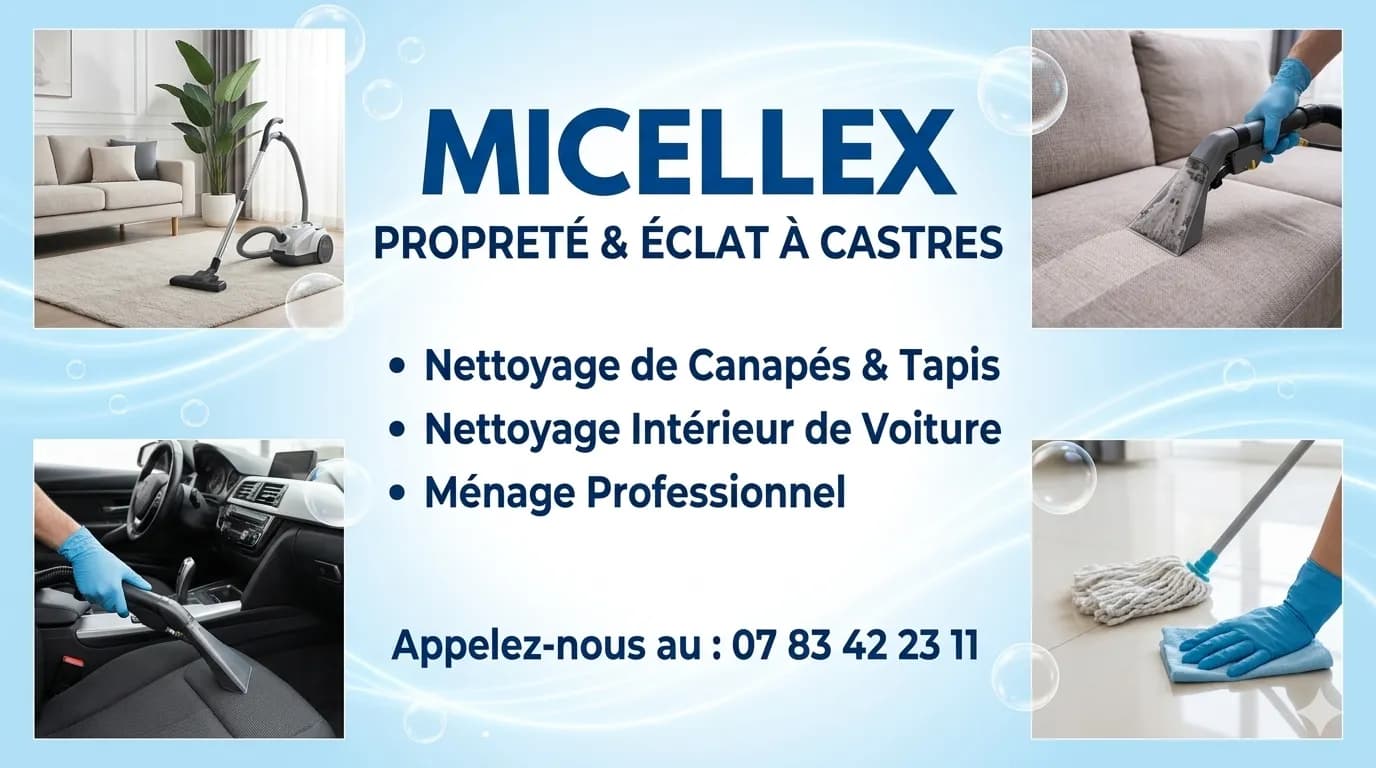 Photo de couverture de Micellex