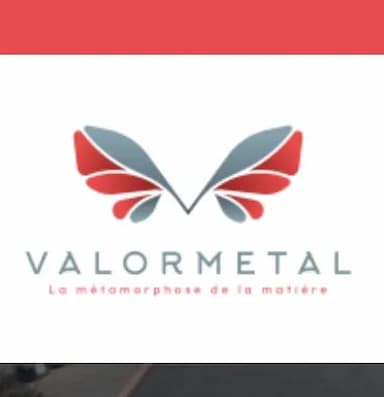 Logo de VALORMETAL
